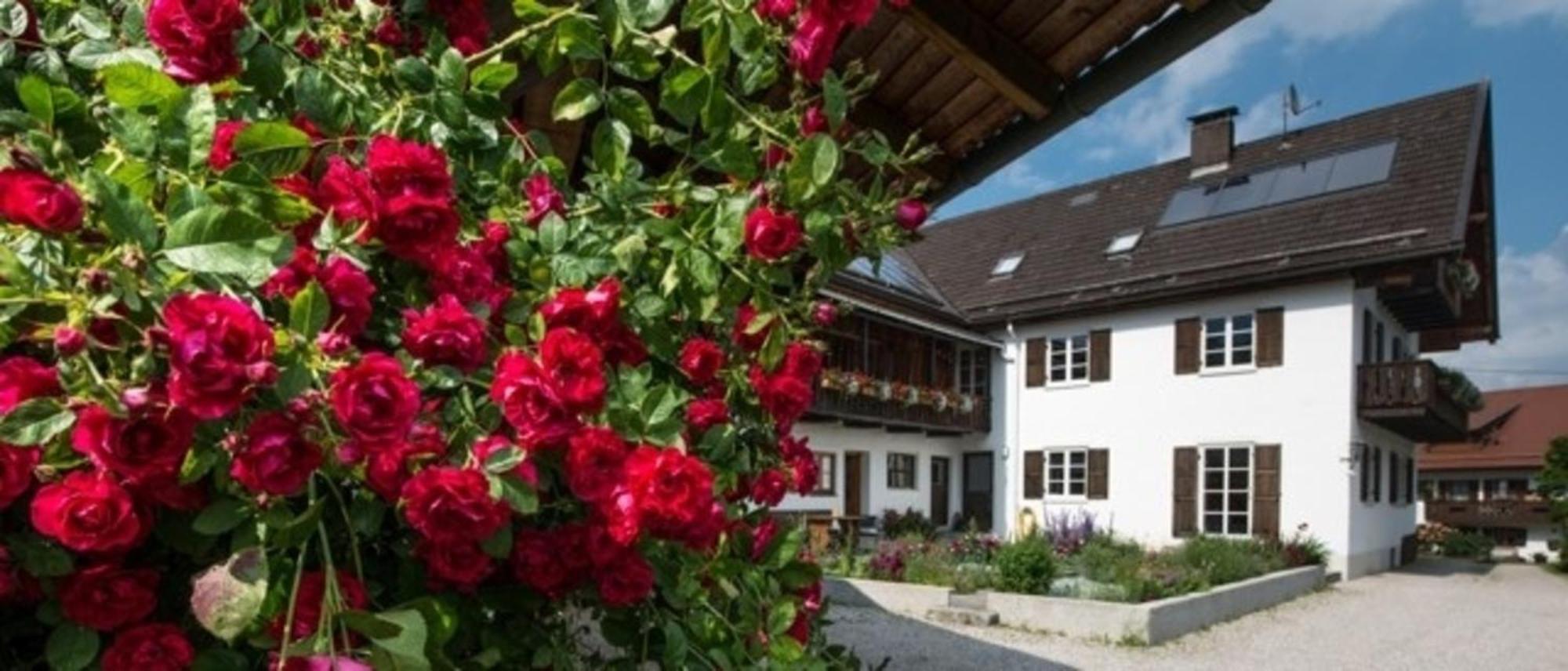 Ferienwohnung Lacherhof Seehausen am Staffelsee Exterior photo